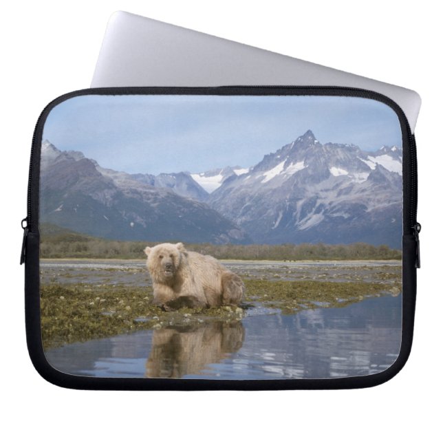 brown bear, Ursus arctos, grizzly bear, Ursus 4 Laptop Sleeve (Front)