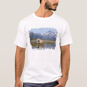 brown bear, Ursus arctos, grizzly bear, Ursus 4 T-Shirt