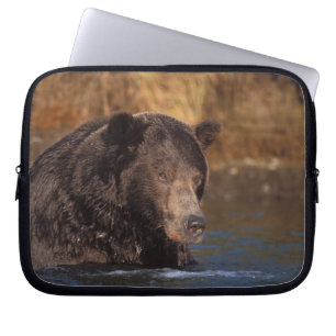 brown bear, Ursus arctos, grizzly bear, Ursus 5 Laptop Sleeve