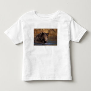 brown bear, Ursus arctos, grizzly bear, Ursus 5 Toddler T-Shirt