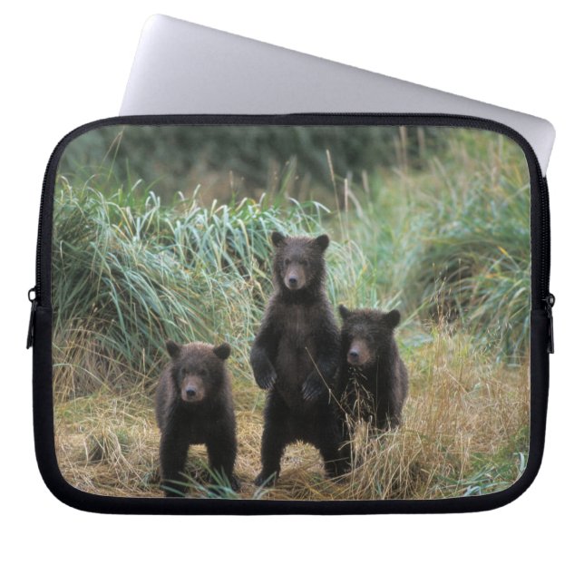 brown bear, Ursus arctos, grizzly bear, Ursus 7 Laptop Sleeve (Front)