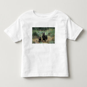 brown bear, Ursus arctos, grizzly bear, Ursus 7 Toddler T-Shirt