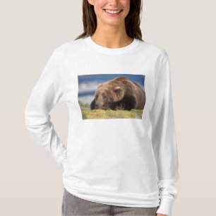 brown bear, Ursus arctos, grizzly bear, Ursus 8 T-Shirt