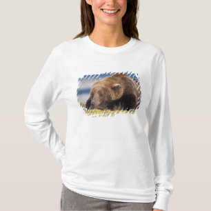 brown bear, Ursus arctos, grizzly bear, Ursus 8 T-Shirt