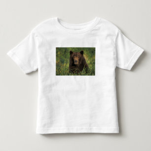 brown bear, Ursus arctos, grizzly bear, Ursus 9 Toddler T-Shirt