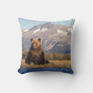 brown bear, Ursus arctos, grizzly bear, Ursus Cushion