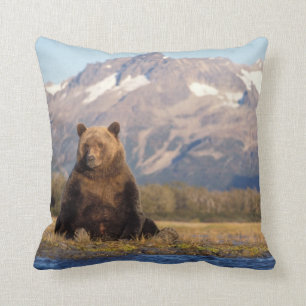 brown bear, Ursus arctos, grizzly bear, Ursus Cushion