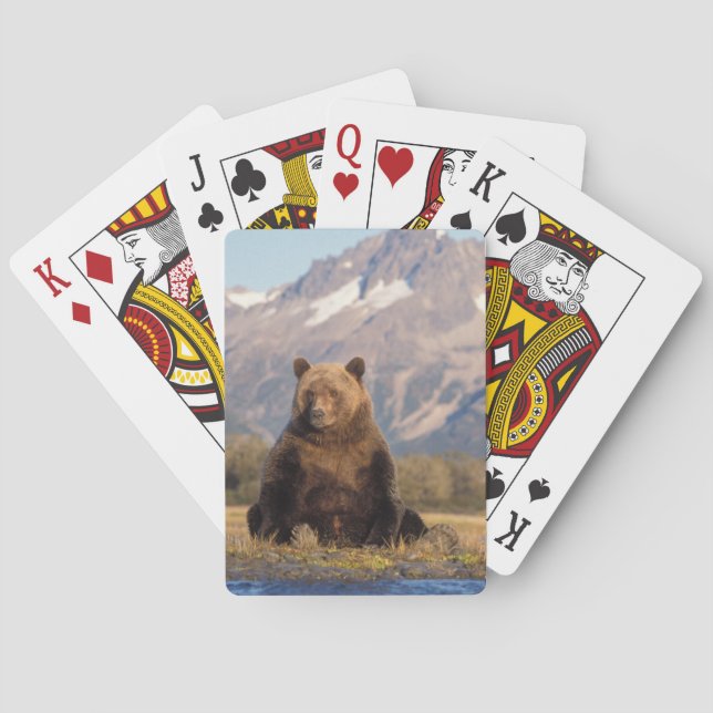 brown bear, Ursus arctos, grizzly bear, Ursus Playing Cards (Back)