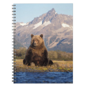 brown bear, Ursus arctos, grizzly bear, Ursus Spiral Notebook