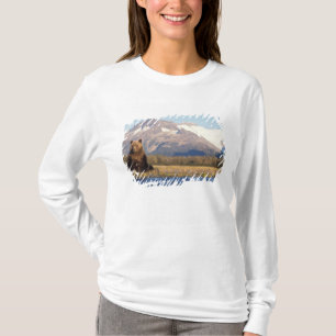 brown bear, Ursus arctos, grizzly bear, Ursus T-Shirt