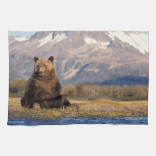 brown bear, Ursus arctos, grizzly bear, Ursus Tea Towel