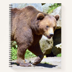 Brown bear walking postcard notebook