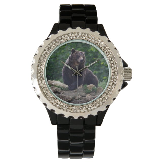 Brown bear watch (Front)