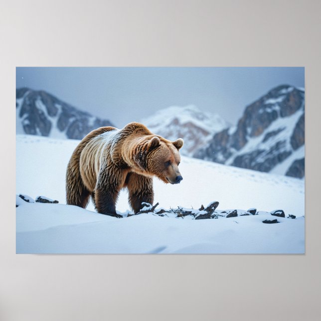 Brown Bear Winter Scenery Poster (Front)