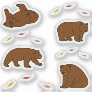 Brown Bears