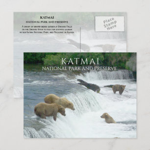 Brown Bears Fishing Brooks Falls Katmai NPP Alaska Postcard