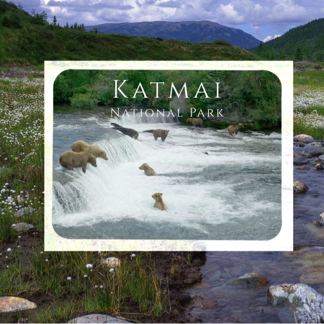 Brown Bears Fishing Katmai National Park Magnet (Creator Uploaded)