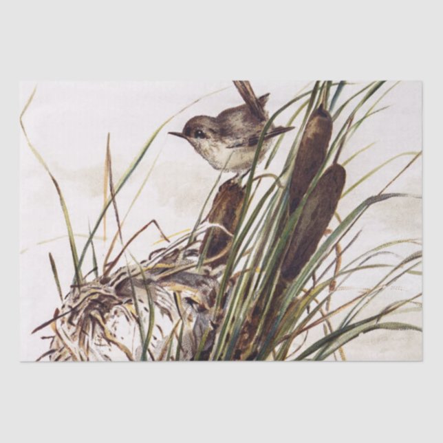 Brown Bird and Nest Decoupage Set Wren 2 of 4 Tissue Paper (Front)