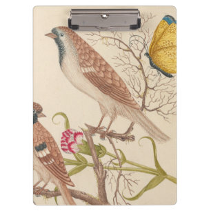 Brown birds with carnations and butterflies clipboard