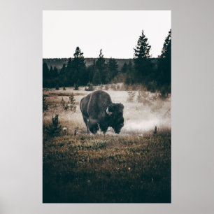 BROWN BISON ON BROWN GRASS FIELD DURING DAYTIME POSTER