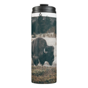 BROWN BISON ON BROWN GRASS FIELD DURING DAYTIME THERMAL TUMBLER