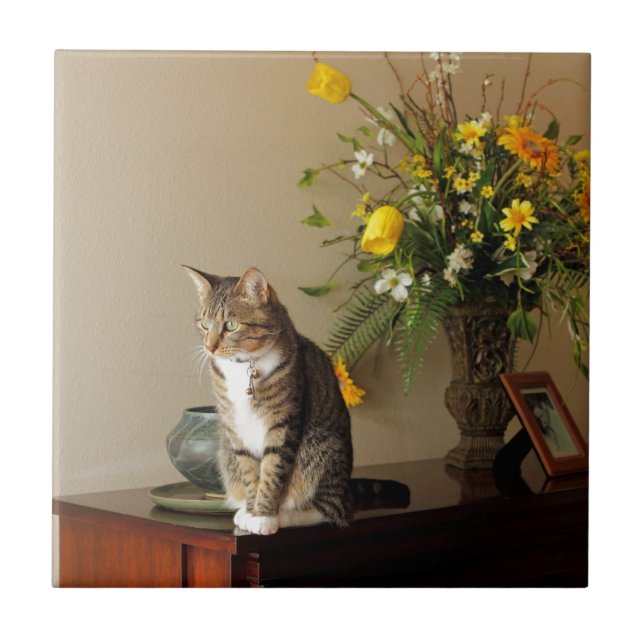 Brown black Tabby cat Sitting on piano flowers Tile (Front)