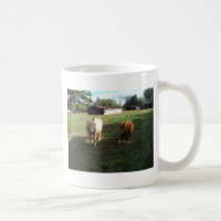 Brown Blonde, Two Miniature Horses, "Little Pony "