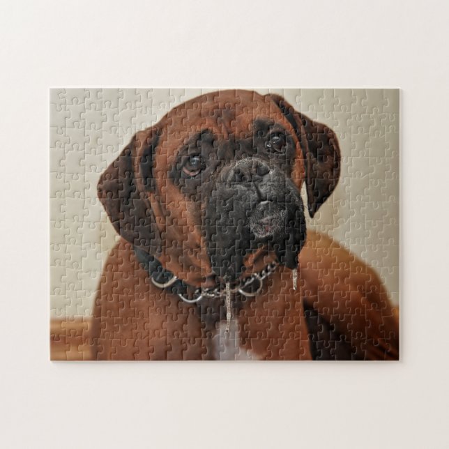 Brown boxer dog jigsaw puzzle (Horizontal)