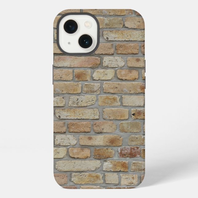 Brown Brick Wall A Novelty Design  iPhone Case (Back)