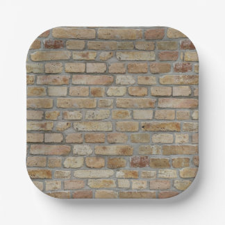 Brown Brick Wall A Novelty Design  Paper Plate