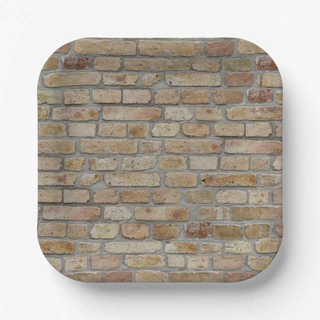Brown Brick Wall A Novelty Design  Paper Plate (Front)