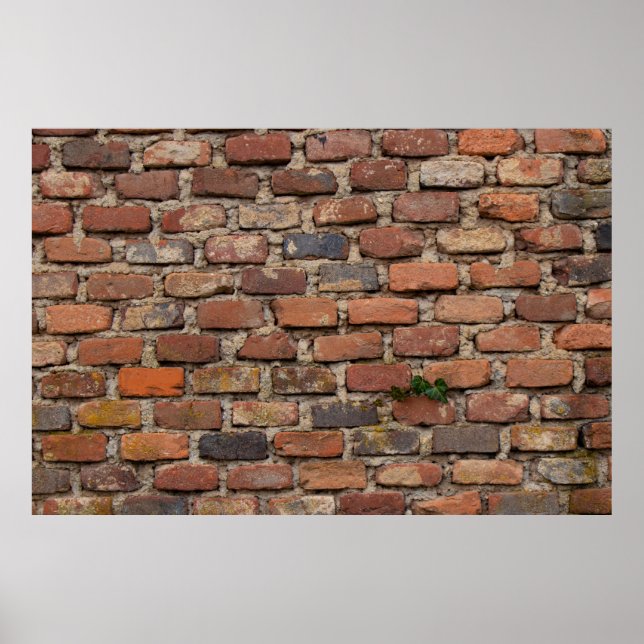 Brown brick wall poster (Front)
