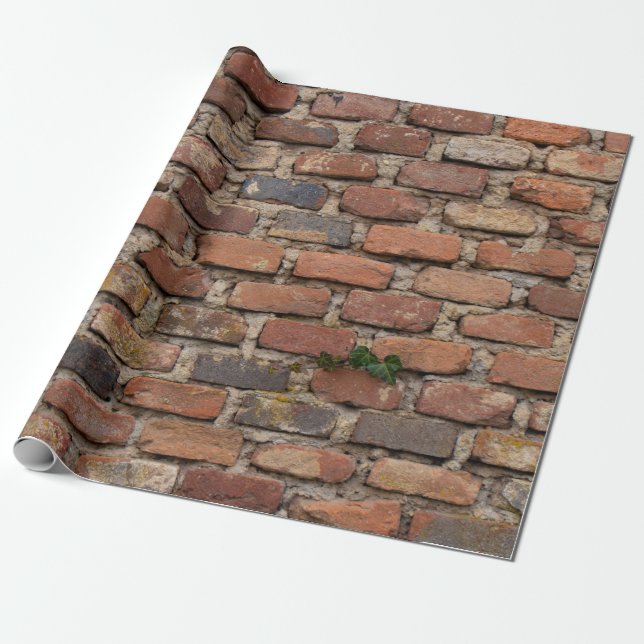 Brown brick wall wrapping paper (Unrolled)
