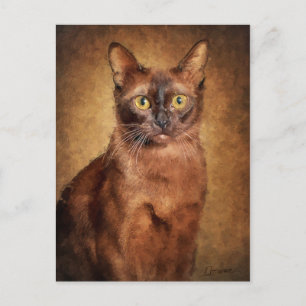 Brown Burmese Cat Holiday Postcard