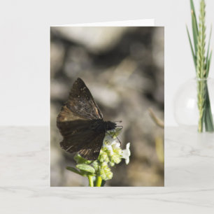 Brown Butterfly Card