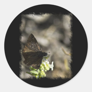 Brown Butterfly Classic Round Sticker