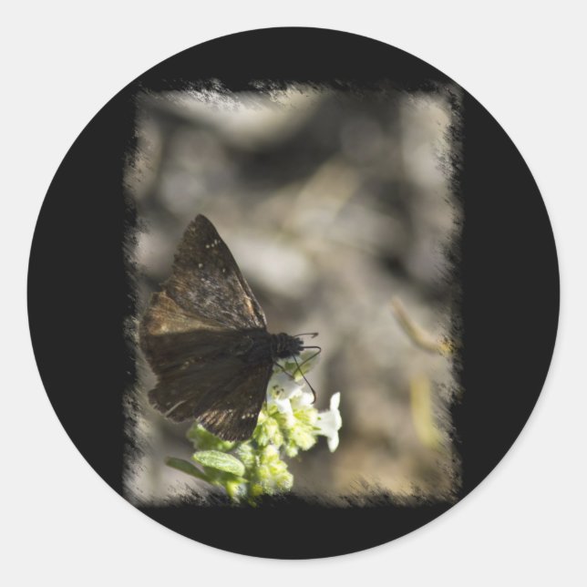 Brown Butterfly Classic Round Sticker (Front)
