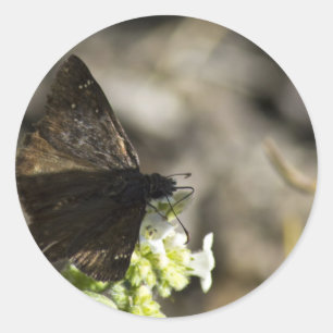 Brown Butterfly Classic Round Sticker