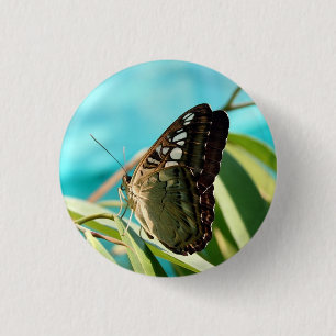 Brown Butterfly Closed Wings 3 Cm Round Badge