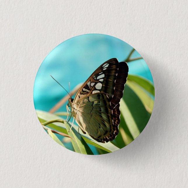 Brown Butterfly Closed Wings 3 Cm Round Badge (Front)