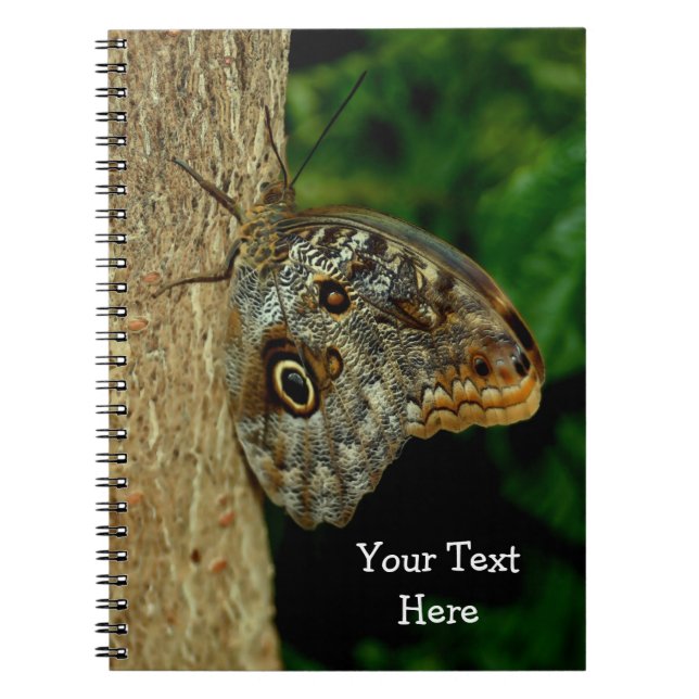 Brown Butterfly Nature Art Spiral Notebook (Front)