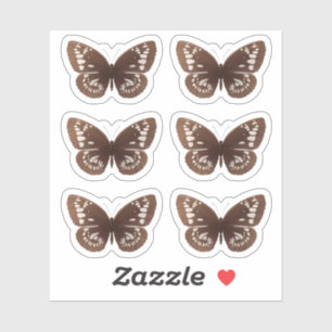 Brown butterfly stickers nature insect butterflies