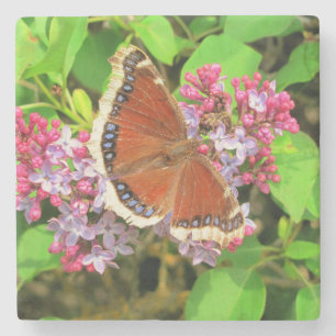 Brown Butterfly with Blue Spots on Lilacs Stone Coaster