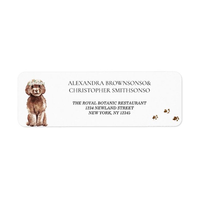 Brown Cavapoo Dog Home Newly Weds Wedding (Front)