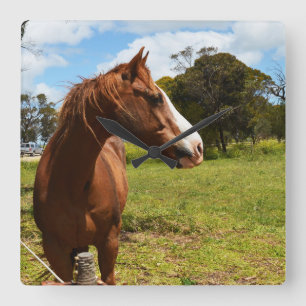 Brown Chestnut Horse Needs Hairdryer, Square Wall Clock