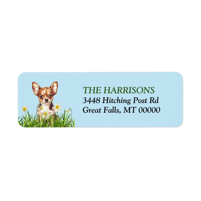 Brown Chihuahua Dog Daffodil Garden (Front)