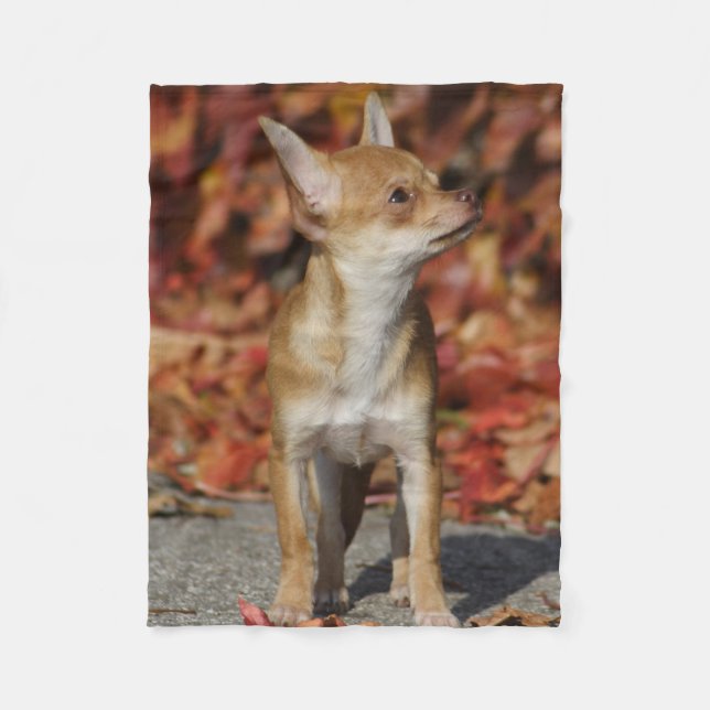 Brown Chihuahua Puppy Fleece Blanket (Front)