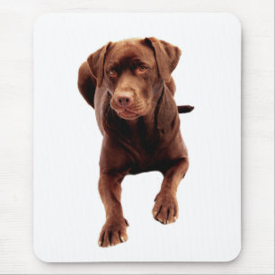 Brown Chocolate Labrador Retriever Dog Mousepad