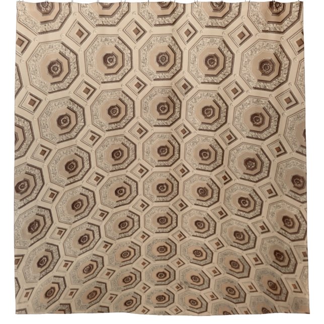 Brown cloth shower curtain (Front)