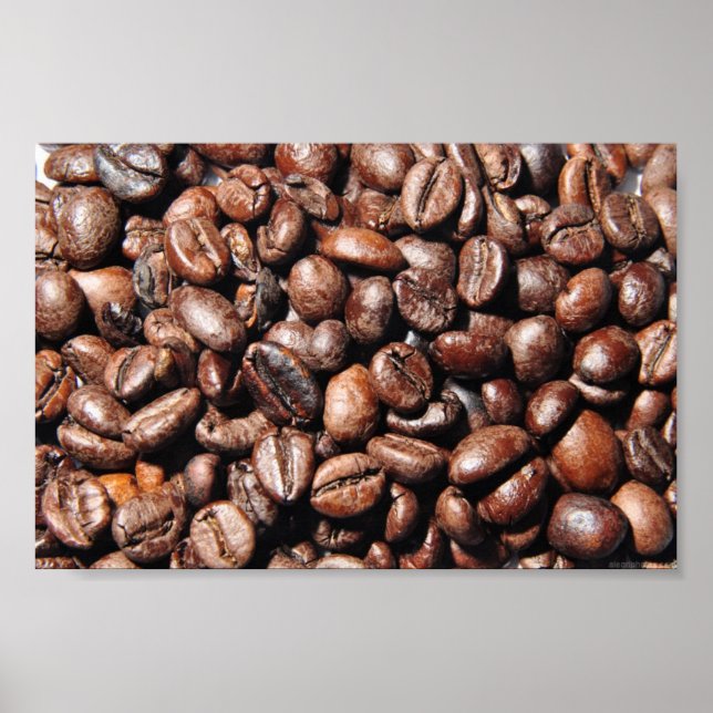 BROWN COFFEE BEANS PHOTOGRAPHY BACKGROUNDS FOODS POSTER (Front)